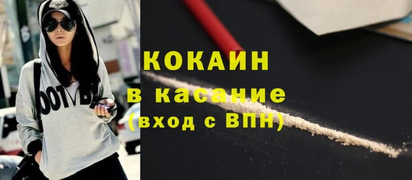 сатива Ельня