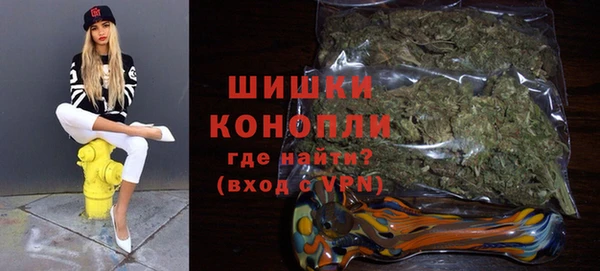 ГАЛЛЮЦИНОГЕННЫЕ ГРИБЫ Гусь-Хрустальный