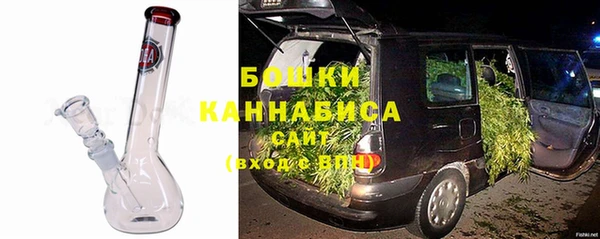 сатива Ельня
