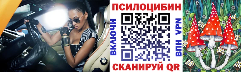 Купить  Закаменск  Псилоцибиновые грибы мицелий 